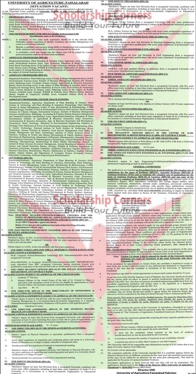 UAF Jobs 2023 | University Of Agriculture Faisalabad Jobs 2023